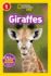 National Geographic Readers: Giraffes Format: Lb