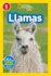 National Geographic Readers: Llamas (L1) (Paperback Or Softback)