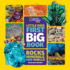 Little Kids First Big Book of Rocks, Minerals & Shells (Library Edition) (Little Kids First Big Books)