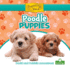 Poodle Puppies (Puppy Pals)