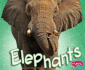 Elephants