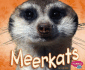 Meerkats (Pebble Plus: African Animals)