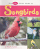 The Pebble First Guide to Songbirds