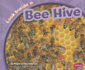 Look Inside a Bee Hive (Pebble Plus)