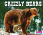 Grizzly Bears (North American Animals)