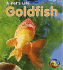 Goldfish (a Pet's Life)