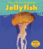 Jellyfish (Heinemann Read and Learn: a Day in the Life: Sea Animals)