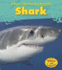 Shark (a Day in the Life: Sea Animals)