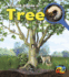 Tree: Look Inside