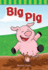 Teacher Created Materials-Targeted Phonics: Big Pig-Guided Reading Level a