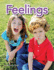 Teacher Created Materials-Early Childhood Themes-Feelings--Grade 2