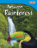 Teacher Created Materials-Time for Kids Informational Text: Amazon Rainforest-Grade 3-Guided Reading Level O