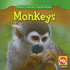 Monkeys (Animals That Live in the Rain Forest)