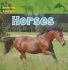Horses (Amazing Animals)