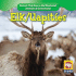 Elk / Uapites (Animals That Live in the Mountains / Animales De Las Montaas (First Edition)) (English and Spanish Edition)