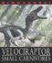 Velociraptor and Other Raptors and Small Carnivores