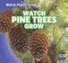 Watch Pine Trees Grow (Watch Plants Grow! )