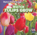 Watch Tulips Grow (Watch Plants Grow! )