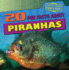 20 Fun Facts About Piranhas (Fun Fact File)