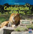 Contractions at the Zoo (Word Play)
