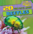 20 Fun Facts About Beetles (Fun Fact File: Bugs! )