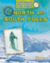 The Exploration of the North and South Poles (Explorers Discovering the World)