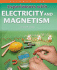 Experiments With Electricity and Magnetism (Science Lab)