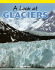 A Look at Glaciers (Science Kaleidoscope (Hardcover))