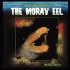 The Moray Eel