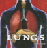 Lungs (Body Works)