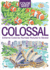 Color Quest: Colossal: an Adult Activity Book