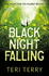 Black Night Falling (Bd. 3)