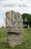 John Aubrey and Stone Circles