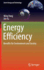 Energy Efficiency: Benefits for Environment and Society (Green Energy and Technology)