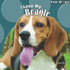 I Love My Beagle (Top Dogs)