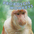 Proboscis Monkeys (Monkey Business)