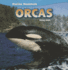 Orcas (Marine Mammals)