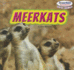 Meerkats: Vol 4