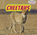 Cheetahs (Powerkids Readers: Safari Animals)