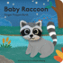 Baby Raccoon: Finger Puppet Book (Baby Animal Finger Puppets, 21)