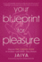 Your Blueprint for Pleasure Format: Paperback