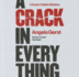 A Crack in Everything (Susan Callisto Mysteries, Book 1)(Library Edition)