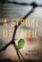 A Stroke of Faith a Stroke Survivor's Story of a Second Chance at Living a Life of Significance