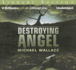 Destroying Angel (Righteous Series)