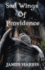 Sad Wings of Providence