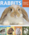 Rabbits: Keeping and Caring for Your Pet