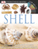 Dk Eyewitness Books: Shell: Discover the Amazing World of Shelled Animals Their Evolution, Variety