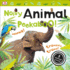 Noisy Animal Peekaboo! : 5 Animal Sounds! (Noisy Peekaboo! )