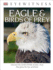 Dk Eyewitness Books: Eagle & Birds of Prey (Library Edition)
