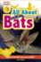 Dk Readers L1: All About Bats: Explore the World of Bats!